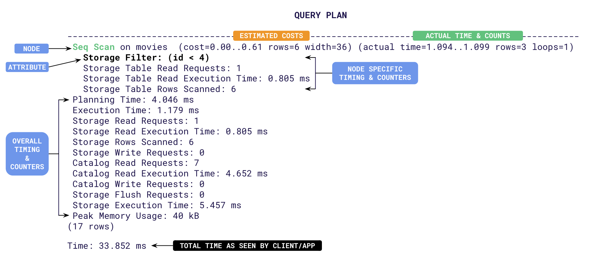 Anatomy of the output